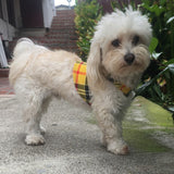 Set of 2 Small Breed Dog Tank-Red/Yellow Plaid