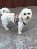 Set of 2 Small Breed Dog Tank-tan/red plaid