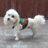 Small Breed Dog Tank- Free